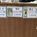 말꼬지농장 이미지