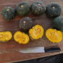 이복순농장 이미지