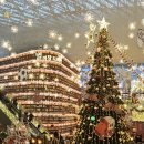 산곡역(7호선) | 별마당도서관 방문 후기｜삼성동 스타필드 코엑스몰 카페·식당 하루코스 정리