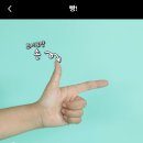 펫스쿨