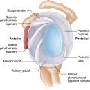 광주본튼튼365의원 이미지