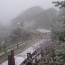 원묵계 계곡 이미지