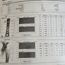 가평군청 (1층 C-D) | 골다공증예방 비타민마을 맛있는 메가씨 고함량 비타민C 2000 비타민D 3000IU