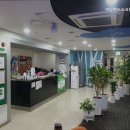 아일랜드 스크린 네이버블로그