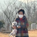 노블리안형산독채한옥풀빌라 이미지