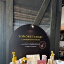 펫 클럽 | 비발디파크 소노펫클럽&amp;리조트 1박2일 후기