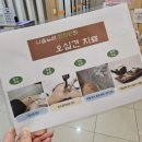 나음누리한의원 | [남양주한의원] 나음누리한의원 한약 솔직 후기, 면역력 플러스 꿀팁 대공개