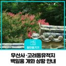 무산사 | 배롱나무 사진 찍기 좋은 함안 산인면 고려동 마을, 칠서면 무산사 백일홍 7월 개화 상황 안내