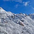 조은사람 이미지