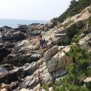 야호캠프 이미지