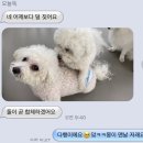 오늘독 이미지