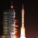 신화8호 이미지