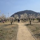 달무리수변공원B 이미지