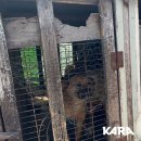 재판농장 이미지