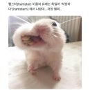 내일같이