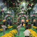 대장경테마파크 | 합천 아이랑 실내 가볼만한곳 대장경테마파크 다녀온 후기