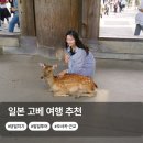행복도시투어 | 일본 고베 여행 추천 당일치기 버스 일일투어 오사카 근교 나라 코스 후기