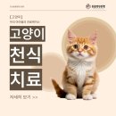 팝애니랩 이미지