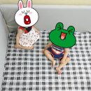 대진세탁 이미지