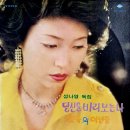 성나영 독집 [당신을 바라보는 나] (1979) 이미지