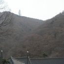 마하사 - 1631 | 마하사