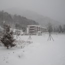 동점초교 이미지