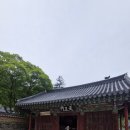 [충남 공주 여행] 유네스코 세계문화유산 태화산 마곡사 힐링 산책 후기