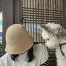 이이피 이미지