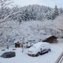 통나무펜션&편백쉼터 이미지