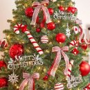 (주)해피나무 이미지