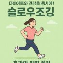 해피슬로우