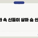 신화랑 이미지