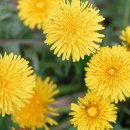 전주대학교 대체의학대학원 이미지