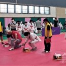 이천태권도체육관 이미지
