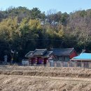 扶餘 趙見素 墓 이미지