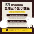 교대동물병원