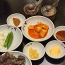 돼지 BAR 이미지