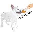 경산반찬 이미지