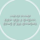 온블뤼떼 이미지