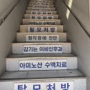 오천온누리약국 | 종로 마운자로 성지 방문 후기 7.3kg 감량 후 마지막 처방