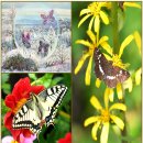 10)01. 莊子장자 外篇외편 第10篇 胠篋(거협)(第01章)/8 國家국가,國旗국기,國花국화,맘다니,AI경쟁,中쉬인,머스크,재앙,우르르 이미지