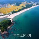 유채네일