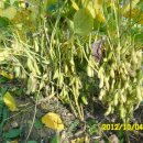 우람농장 이미지