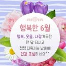 힐링 행복열차 출발~347 이미지