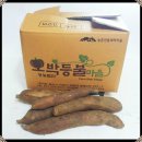 영농조합법인 용인호박등불마을 이미지