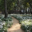 삼문송림길 이미지