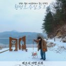 횡성 호수길 6구간 | 강원도 애견동반 가능한 산책길 횡성호수길 5코스