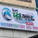 용인대 다온 태권도 이미지
