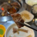 고기특별시 이미지