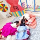 세광어린이집 이미지